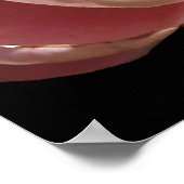 Poster d'affiche rose ancienne imprimé (Coin)