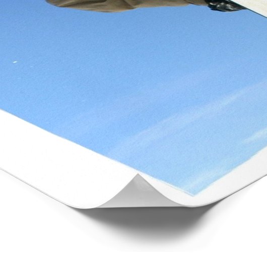 Poster d'affiche Snowboard Grab (Coin)