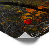 Poster d'affiche sur le brouillard d'automne dans  (Coin)