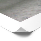 Poster d'affiches de Bouquet de fleurs d'orchidées (Coin)