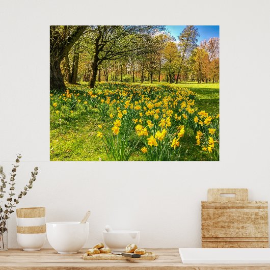 POSTER DAFFODIL (Cuisine)