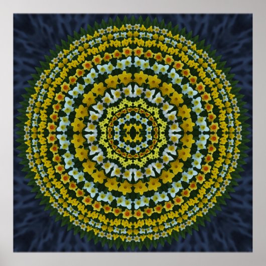 Poster Daffodil Mandala (Devant)