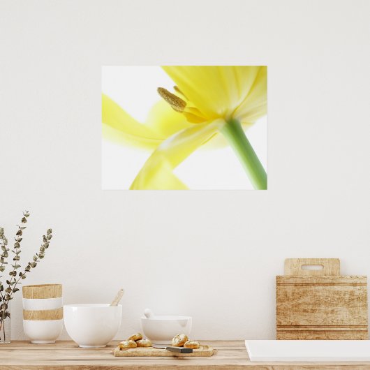 Poster Daffodil / Narcisse (Cuisine)