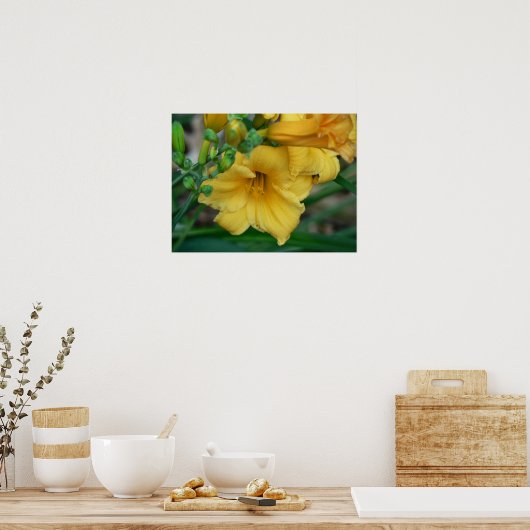 Poster Daffodile (Cuisine)