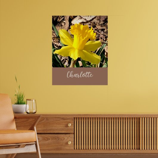 Poster Daffodile de printemps jaune dans le jardin Nom pe (Salon 2)