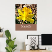 Poster Daffodile de printemps jaune dans le jardin Nom pe (Bureau à domicile)