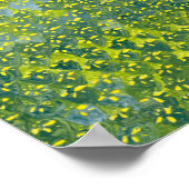 Poster Daffodiles 2012 (Coin)