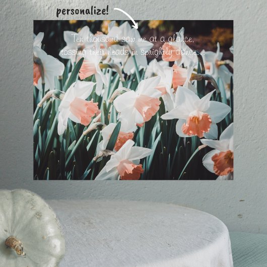 Poster Daffodiles d'orange blanc dans le jardin de printe