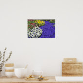 Poster Daffodiles et l'Hyacinthe du raisin, Keukenhof 2 (Cuisine)