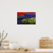 Poster Daffodiles, hyacinthe et tulipes (Cuisine)