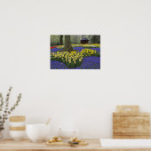 Poster Daffodiles, jacinthe de raisin et jardin de tulipe (Cuisine)