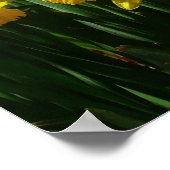 Poster Daffodiles Jaunes I Fleurs De Printemps Cheveux (Coin)