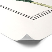 Poster Daffodiles Jaunes Verneuil Illustration (Coin)