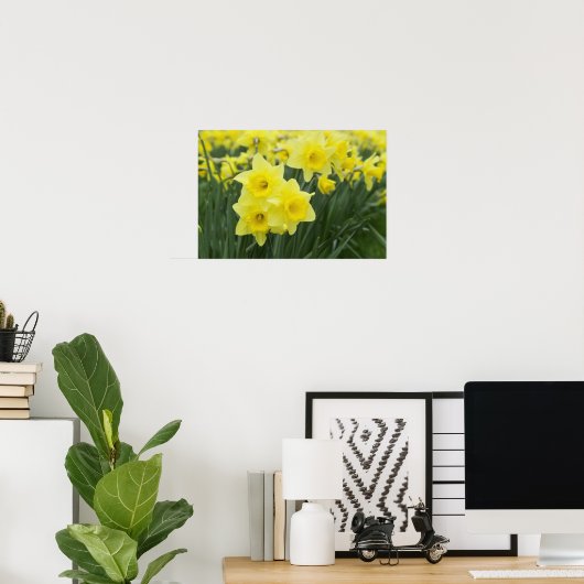 Poster Daffodiles RF) (Bureau à domicile)