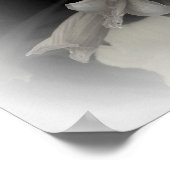 POSTER DAFFODILS ÉMERGENTS (Coin)