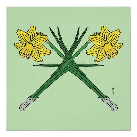 Poster Daffodils traversés (Devant)