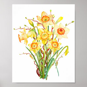 Poster Daffodique de fleur de printemps d'aquarelle
