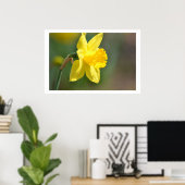 Poster Daffodique de printemps (Bureau à domicile)
