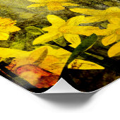Poster Daffodique fantôme (Coin)