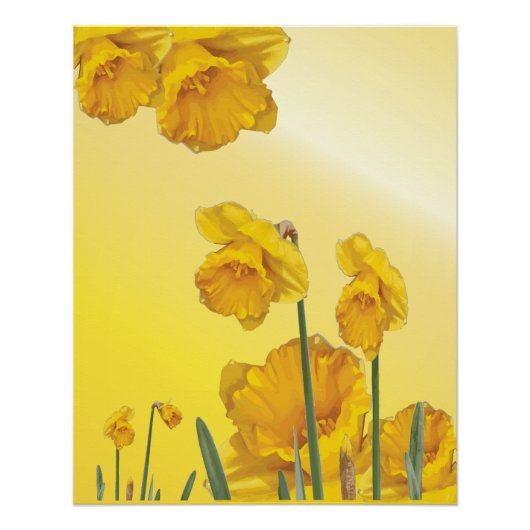 Poster Daffodique Jaune Narcisse Retro Vintage (Devant)
