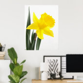 Poster Daffodique simple Jaune Narcisse (Bureau à domicile)