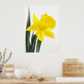 Poster Daffodique simple Jaune Narcisse (Cuisine)