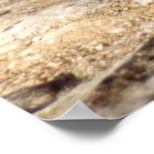 Poster Daffodiques à l'affiche de Pâques (Coin)