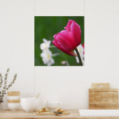 Poster Daffodiques blanches de Tulipe rose (Cuisine)