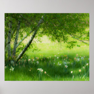 Poster Daffodiques de printemps