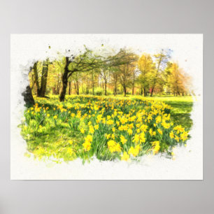 Poster Daffodiques de printemps