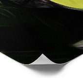 Poster Daffodiques de printemps jaune (Coin)