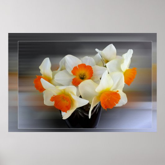 Poster Daffodiques du début du printemps (Devant)
