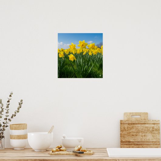 Poster Daffodiques en fleur (Cuisine)