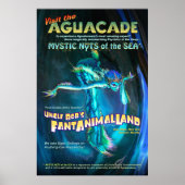 Poster d'Aguacade (Devant)