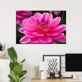 Poster Dahlia (Bureau à domicile)