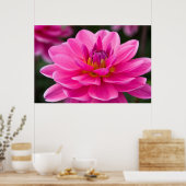 Poster Dahlia (Cuisine)