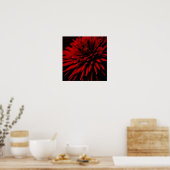 Poster dahlia (Cuisine)