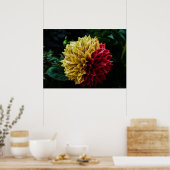 Poster Dahlia (Cuisine)