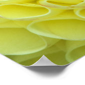 Poster Dahlia (Coin)