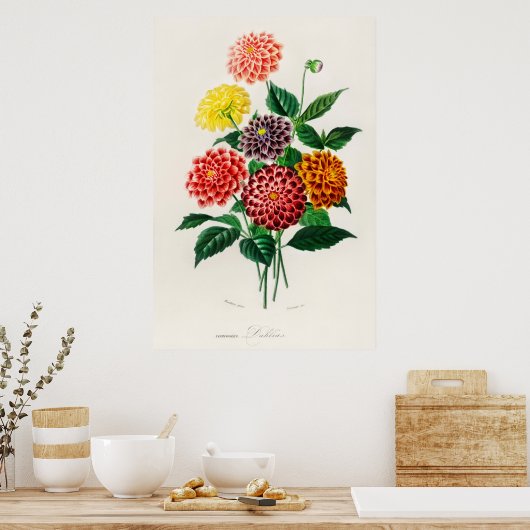 Poster Dahlia (Cuisine)
