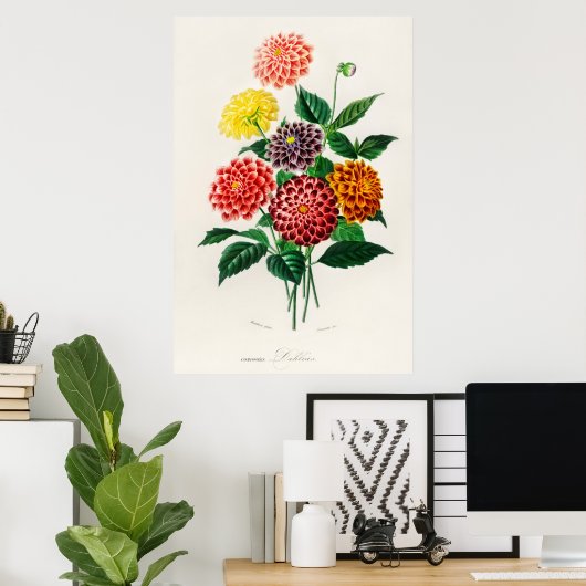 Poster Dahlia (Bureau à domicile)