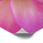 Poster Dahlia (Coin)