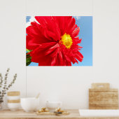 Poster dahlia (Cuisine)