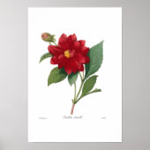 Poster Dahlia (Devant)