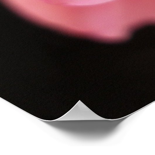 Poster Dahlia (Coin)