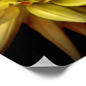 Poster Dahlia Corona jaune (Coin)