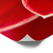 Poster Dahlia en gros plan (Coin)