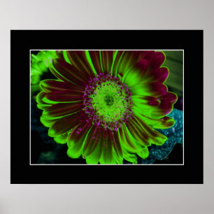Poster Dahlia Fleur Abstraite Photographie Vert