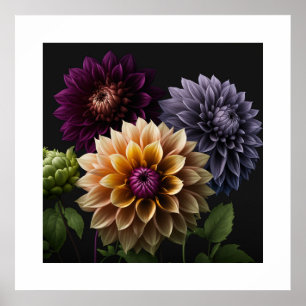 Poster Dahlia Flowers