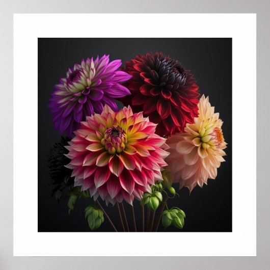 Poster Dahlia Flowers (Voorkant)